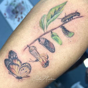 mariposa-tattoocolor-acuarelatattoo-lineafina-madrid-tattoomadrid-lineafina